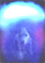 aura photograph of dog